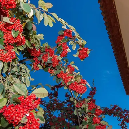 Villa Tu Casa En Barcelona à Sant Cugat del Vallès Chambre photo
